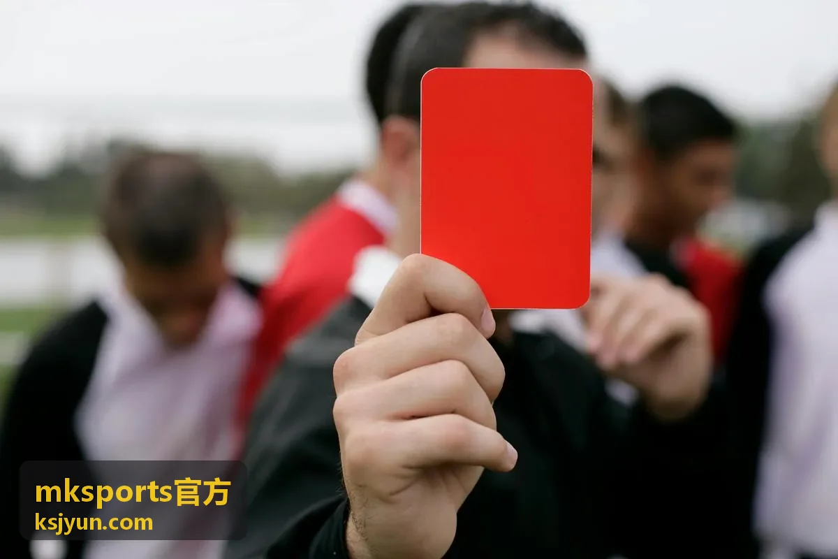 mksports官方装备参数逐项公开示意
