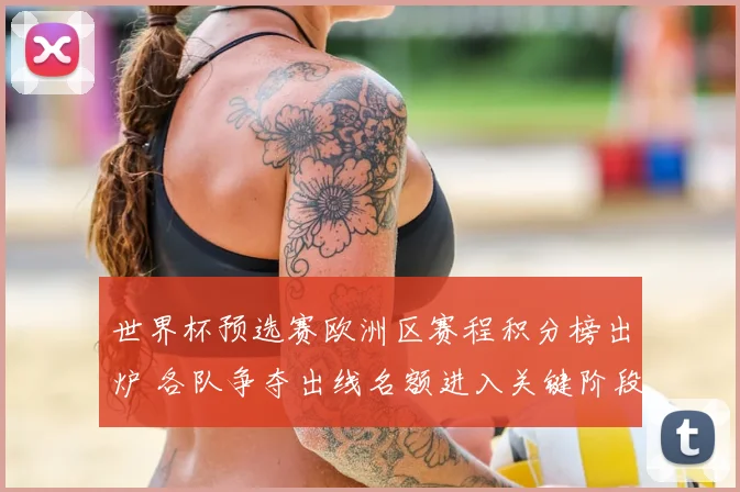 世界杯预选赛欧洲区赛程积分榜出炉 各队争夺出线名额进入关键阶段