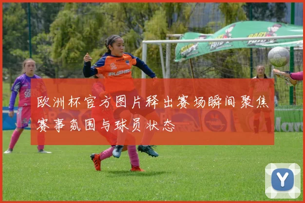欧洲杯官方图片释出赛场瞬间聚焦赛事氛围与球员状态