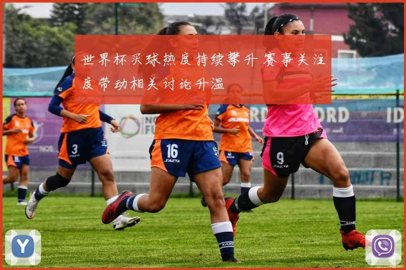 世界杯买球热度持续攀升 赛事关注度带动相关讨论升温