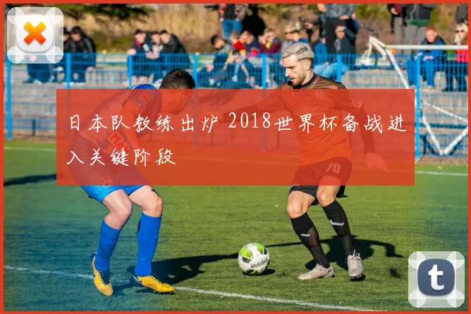 日本队教练出炉 2018世界杯备战进入关键阶段