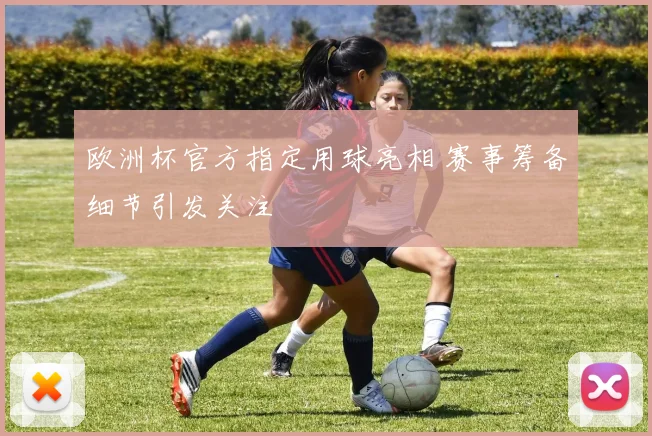 欧洲杯官方指定用球亮相 赛事筹备细节引发关注