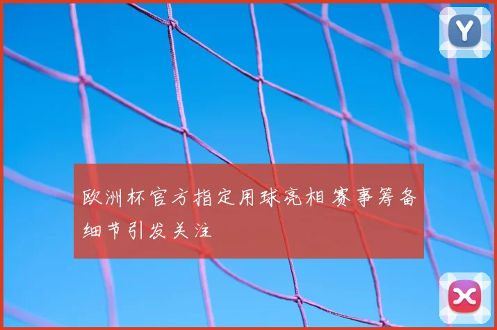 欧洲杯官方指定用球亮相 赛事筹备细节引发关注