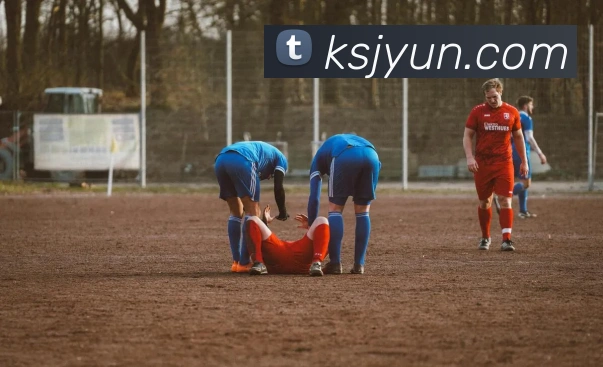 买球官方平台生态图