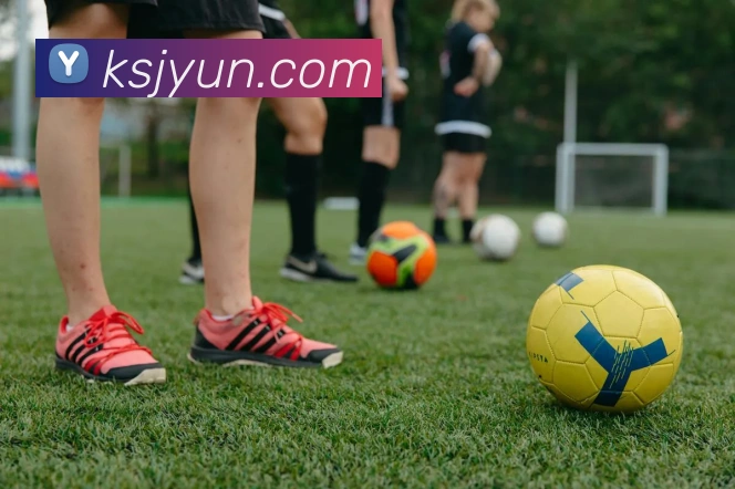 买球官方全站App